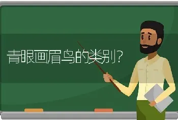 青眼画眉鸟的类别？