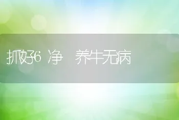 抓好6净养牛无病