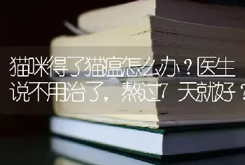 猫咪得了猫瘟怎么办？医生说不用治了，熬过7天就好？