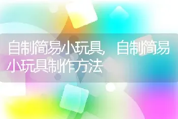 自制简易小玩具，自制简易小玩具制作方法