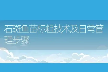 石斑鱼苗标粗技术及日常管理步骤