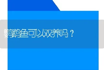 鹦鹉鱼可以双养吗？