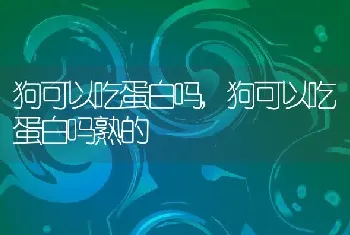 狗可以吃蛋白吗，狗可以吃蛋白吗熟的