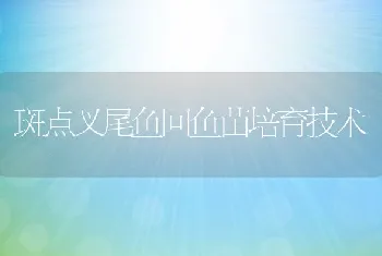 斑点叉尾鱼回鱼苗培育技术