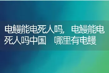 电鳗能电死人吗，电鳗能电死人吗中国 哪里有电鳗