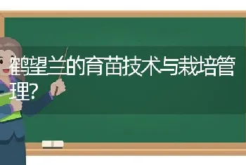 鹤望兰的育苗技术与栽培管理？