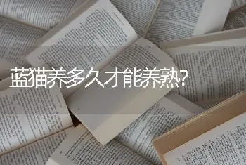 蓝猫养多久才能养熟？