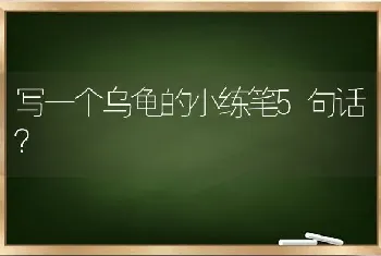 写一个乌龟的小练笔5句话？