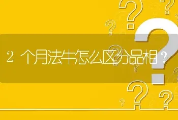 2个月法牛怎么区分品相？