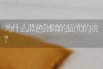 为什么蓝色眼睛的猫卖的贵？