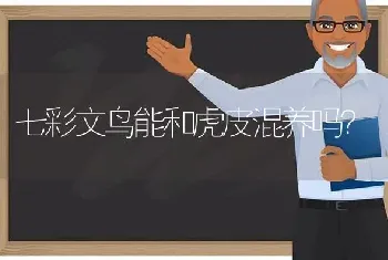 七彩文鸟能和虎皮混养吗？