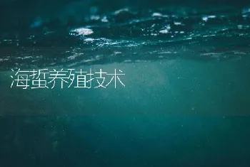 海蜇养殖技术