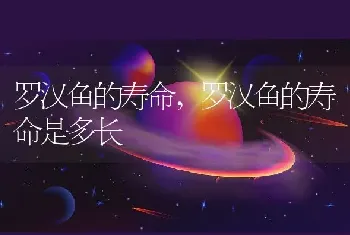 罗汉鱼的寿命，罗汉鱼的寿命是多长