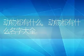 动物都有什么，动物都有什么名字大全