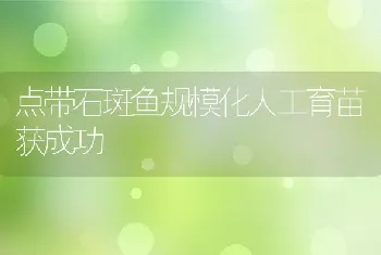 提高饲料利用率的十种方法