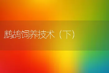 獭兔的冬繁：保温的要点分析