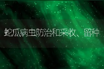 蛇瓜病虫防治和采收、留种