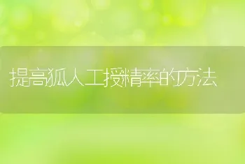 提高狐人工授精率的方法