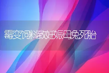 霉变饲料致妊娠母兔死胎