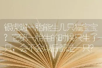 银虎斑一胎能生几只猫宝宝?它第一胎生的时候只生了一只，会不会以后都是一只？