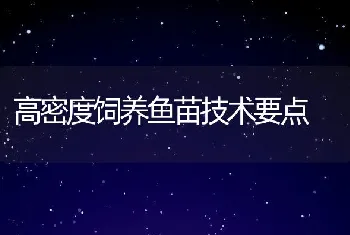 高密度饲养鱼苗技术要点