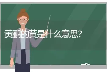 黄鹂的黄是什么意思？