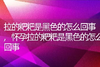 拉的粑粑是黑色的怎么回事，怀孕拉的粑粑是黑色的怎么回事