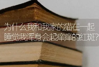 为什么我和我家的猫在一起睡觉我浑身会起痒痒的红斑？