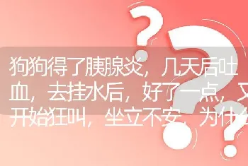 狗狗得了胰腺炎，几天后吐血，去挂水后，好了一点，又开始狂叫，坐立不安，为什么会这样，还会好吗？