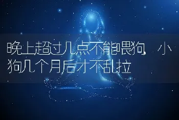 晚上超过几点不能喂狗，小狗几个月后才不乱拉