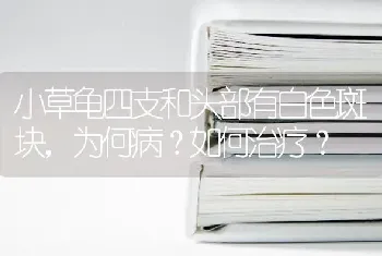 小草龟四支和头部有白色斑块，为何病？如何治疗？