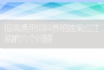 提高渔用饲料养殖效果应注意的六个问题