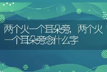 两个火一个耳朵旁，两个火一个耳朵旁念什么字