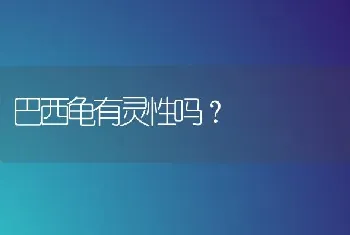 巴西龟有灵性吗？