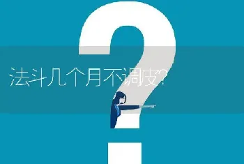 法斗几个月不调皮？