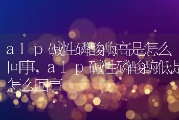 alp碱性磷酸酶高是怎么回事，alp碱性磷酸酶低是怎么回事