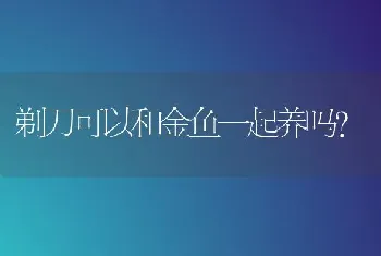 剃刀可以和金鱼一起养吗？