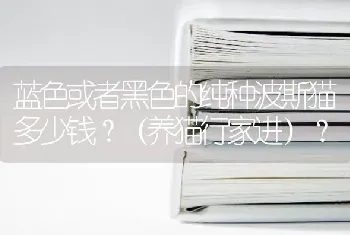 蓝色或者黑色的纯种波斯猫多少钱？（养猫行家进）？