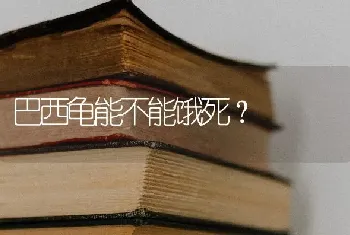 巴西龟能不能饿死？