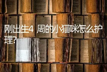 狗狗好像呛到了，一直不停的打喷嚏，求助？