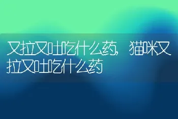 又拉又吐吃什么药，猫咪又拉又吐吃什么药