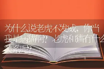 为什么说老虎不发威，你当我是病猫啊？老虎和猫有什么关系呢？