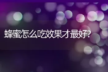 蜂蜜怎么吃效果才最好？