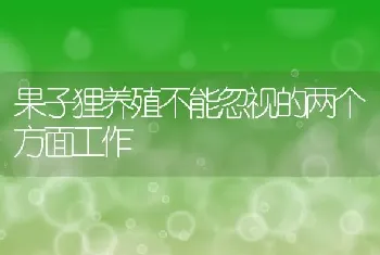 果子狸养殖不能忽视的两个方面工作