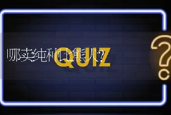 哪卖纯种比熊犬？