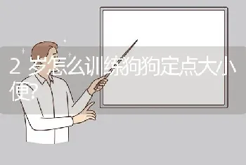 2岁怎么训练狗狗定点大小便？