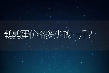 鹌鹑蛋价格多少钱一斤？