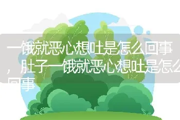 一饿就恶心想吐是怎么回事，肚子一饿就恶心想吐是怎么回事