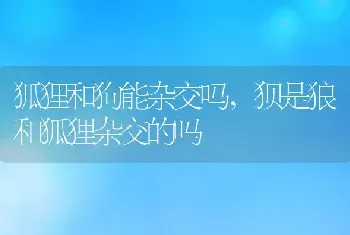 狐狸和狗能杂交吗，狈是狼和狐狸杂交的吗