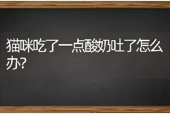 猫咪吃了一点酸奶吐了怎么办？